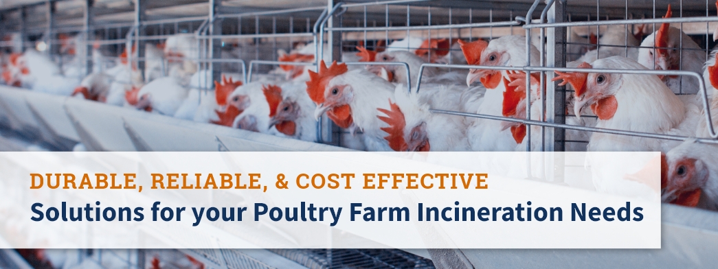 Solutions to poultry farm incineration needs